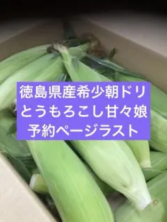 徳島県産希少朝ドリとうもろこし甘々娘予約ページ 徳島県産希少朝ドリとうもろこし甘々娘予約ページ - メルカリ