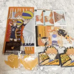 ハイキュー 日向翔陽 セット
