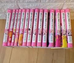 総長さま、溺愛中につき　小説１４冊セット