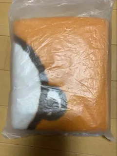 新品未開封 ミスタードーナツ スヌーピー ブランケット 2011