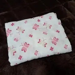 Item thumbnail for item 2c68402b-3d12-4a79-9419-872e250fd9f7