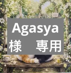 Agasya様　専用