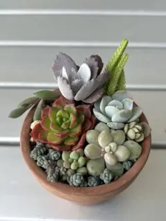 茅屋様 リクエスト 2点 まとめ商品