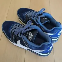 ナイキ エア マックス コマンド (AIR MAX COMMAND)