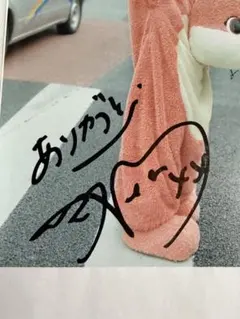 TBSアナウンサー 吉村恵里子 直筆サイン入り色紙 TBSアナウンサー 吉村恵里子 直筆サイン入り色紙 - メルカリ