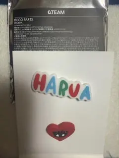 &TEAM popup デコパーツ HARUA