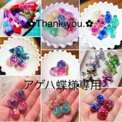 アゲハ蝶様専用