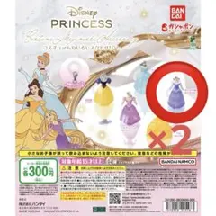 ディズニープリンセス コスチュームめじるしアクセサリー - メルカリ