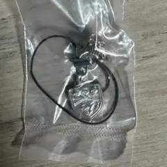 家庭教師ヒットマンREBORN ダブルチャームコレクション 獄寺隼人 嵐 リング