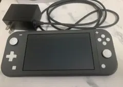 Nintendo Switch Lite グレー