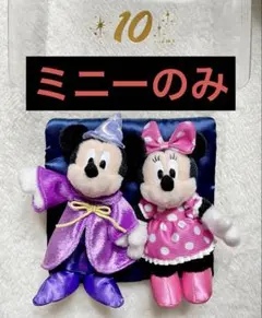 ミニーのみ　ぬいぐるみバッジ　ディズニーランド10周年　30周年記念販売