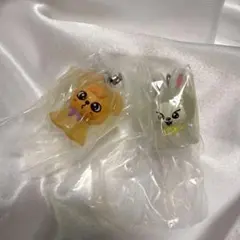 【SKZOO めじるしアクセサリー】リービット パピームset