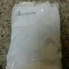 THE TREAT DRESSING ウィングカラーシャツ