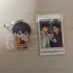ハイキュー 影山飛雄 赤葦京治 キャラポトレ アクリルチャーム