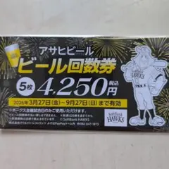 キリンビール ビール回数券 5枚セット ホークス主催試合専用 - メルカリ