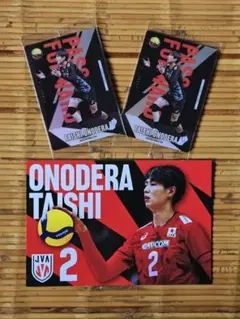 3枚セット✨バレーボール男子日本 小野寺太志 2025 ポストカード トレカ