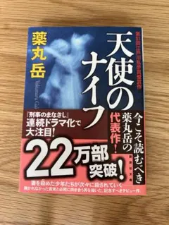 Item thumbnail for item d3b27512-077a-4afa-9a94-97055d8f8b7f