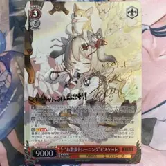 “お散歩トレーニング”ビスケット SP