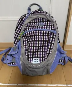 THE NORTH FACE SMALL DAY リュック　小学生　遠足