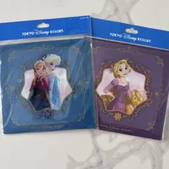 ディズニー　折り紙セット　アナ雪ラプンツェル