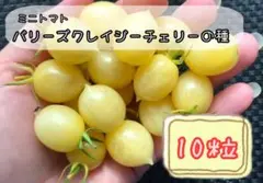 amane様 リクエスト 5点 まとめ商品