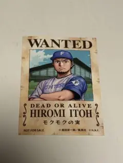 日本ハムファイターズ　ワンピース　手配書ステッカー　伊藤大海