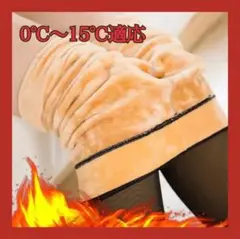 裏起毛 レディース 透け感タイツ 厚手 防寒 着圧タイツ ヒップアップ 220g