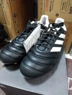 Item thumbnail for item 8d74eb53-4125-4683-9f35-890baf66d1ba