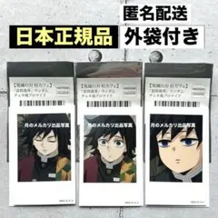 冨岡義勇⚔️日本正規品 チェキ風ブロマイド セット まとめ売り⚔️鬼滅の刃