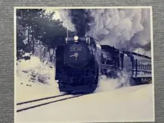鉄道写真　D51 498 蒸気機関車　雪景色　生写真　25.4㎝✖️30㎝　四切