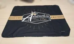 2026年最新】アナタシアの人気アイテム - メルカリ