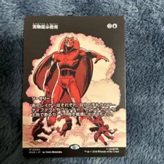 実物提示教育 MTG 日本語