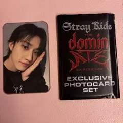 TheDominAteExperience スキズstraykidsバンチャン