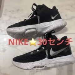 NIKE LEBRON WITNESS バスケットボールシューズ　30センチ
