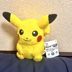 【タグ付き】劇場版ポケットモンスターキミにきめた！ピカチュウ