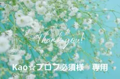 Kao☆プロフ必須様　専用