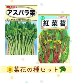 x.x様 リクエスト 2点 まとめ商品