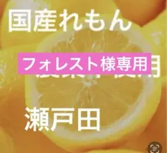 フォレスト様専用レモンのサムネイル