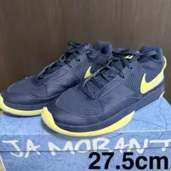 Nike JA 1 EP ネイビー 27.5cm バッシュ