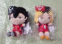 ハイキュー くじ ぬいもっち 黒尾 孤爪