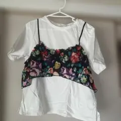 Item thumbnail for item 9b0de48e-ed9c-4d35-b063-21c573c249ed