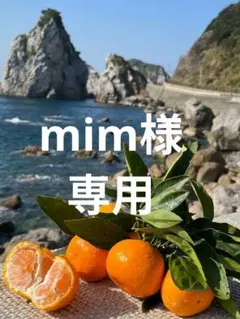 ※mim様専用　和歌山県由良町産　温州みかん　秀品5kg