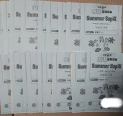 2026年最新】sapix 2年生の人気アイテム - メルカリ