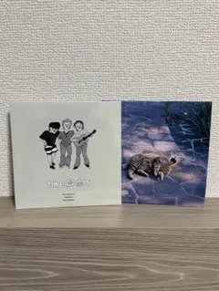 the奥歯's 風になれたら/光のかけらアルバム特典cd