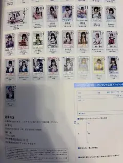 BRODY 10月号 プレゼント応募アンケート用紙 応募券　中西アルノ 野口衣織