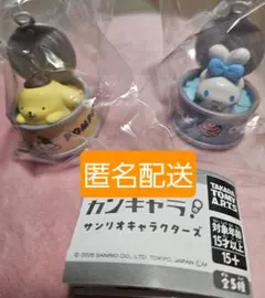 カンキャラ サンリオキャラクターズ ポムポムプリン シナモロール