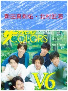ザテレビジョン COLORS  vol.38 新田真剣佑 北村匠海 切り抜き