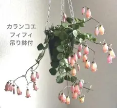 ririnana♡コメント必須プロフ必読様 リクエスト 2点 まとめ商品