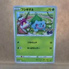フシギダネ：ポケモン GO プロモカード ギフトキャンペーン PROMO S-…