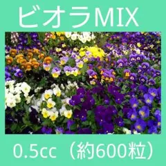 ビオラMIX種 0.5cc（約600粒）